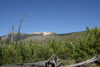 DSC_3785 (Large).JPG